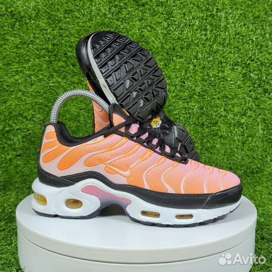 Кроссовки Nike air max TN plus