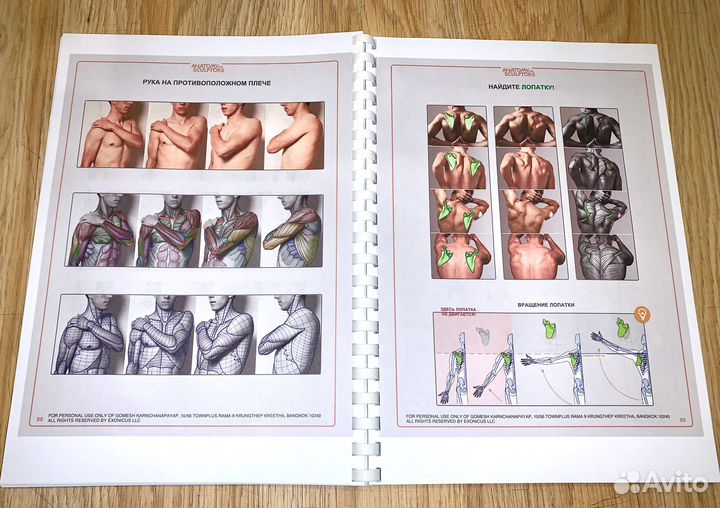 Анатомия для скульпторов. Книга