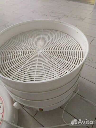 Сушилка для овощей и фруктов Renova DVN31-500/5