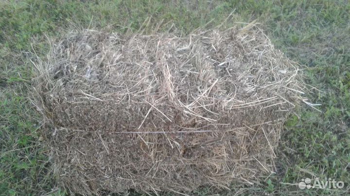 Сено в тюках