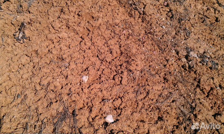 Суглинок для поднятия участка