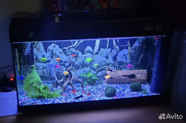 Аквариум с рыбками
