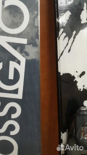 Горные лыжи Elan и Rossignol