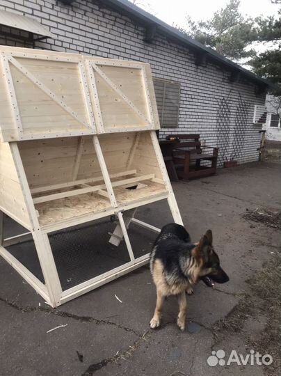 Курятник 15 кур