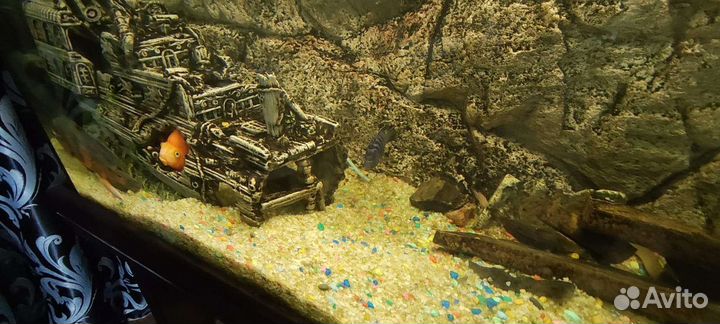 Аквариум 800л