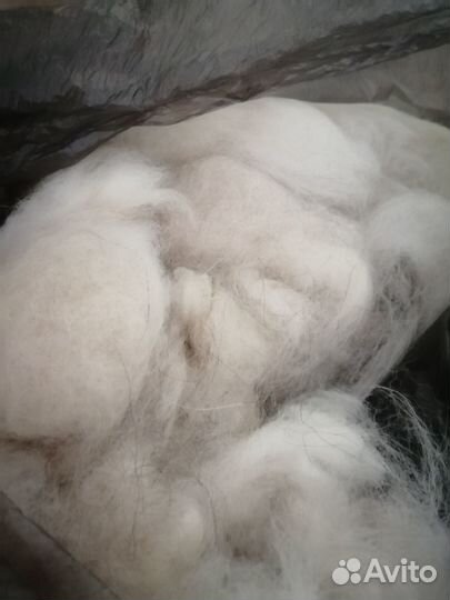 Вычес шерсти от маламутов