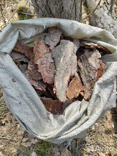 Кора сосны мульча