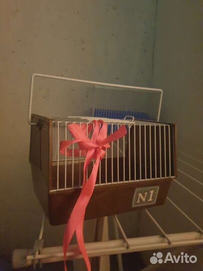 Клетка переноска