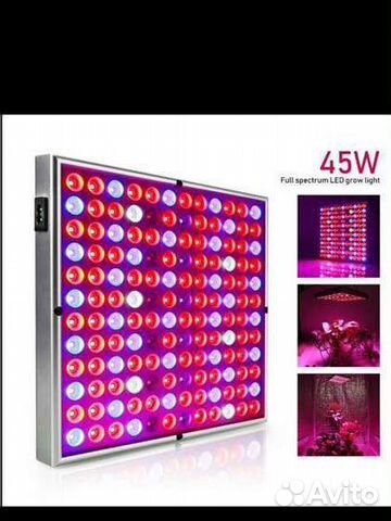 Фитолампа для растений