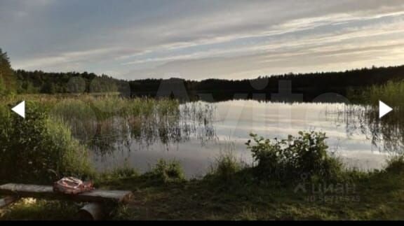 Участок 30 сот. (ИЖС)