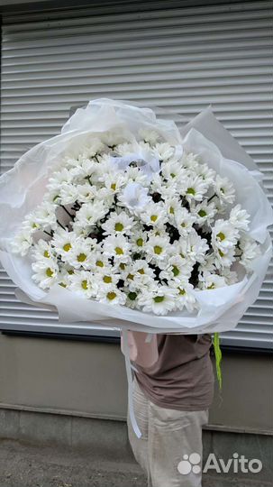 Букет гигант из ромашек/хризантем