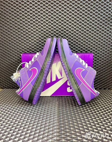 Кроссовки Nike SB Dunk Low Purple Lobster