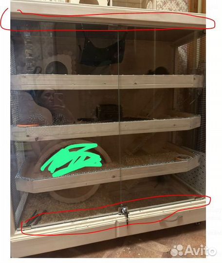 Витрина для дегу б/у