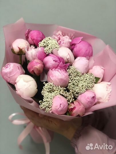 Букеты Пион Ставрополь