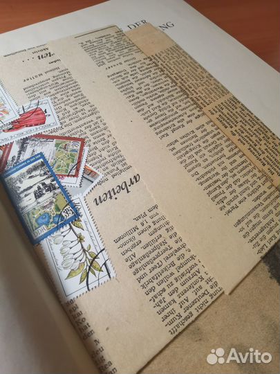 История рабочего молодежного движения в Германии