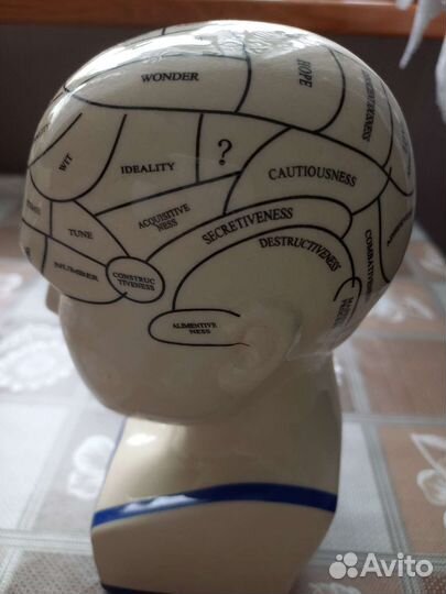 Статуэтка бюст Голова The Human Mind