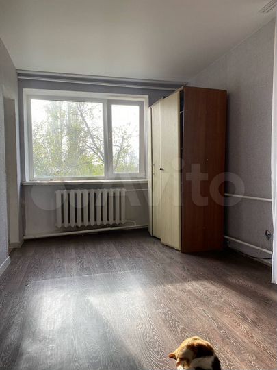1-к. квартира, 27,5 м², 1/3 эт.