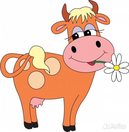 Продам корову стельную