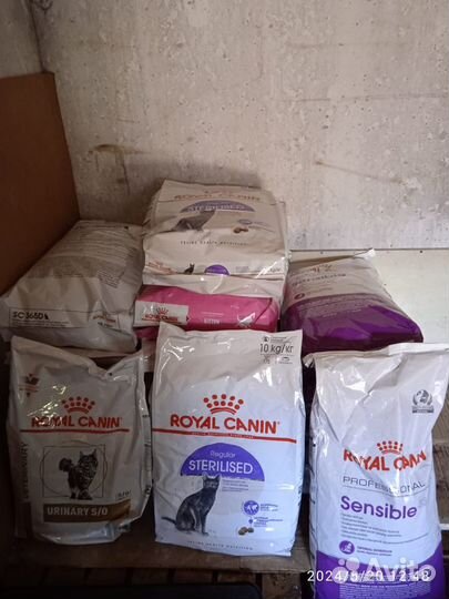 Royal Canin корм для кошек и собак в ассортименте