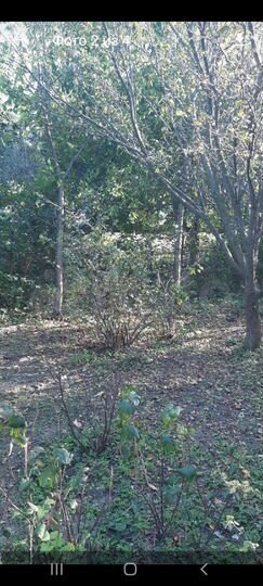 Дача 45 м² на участке 6 сот.