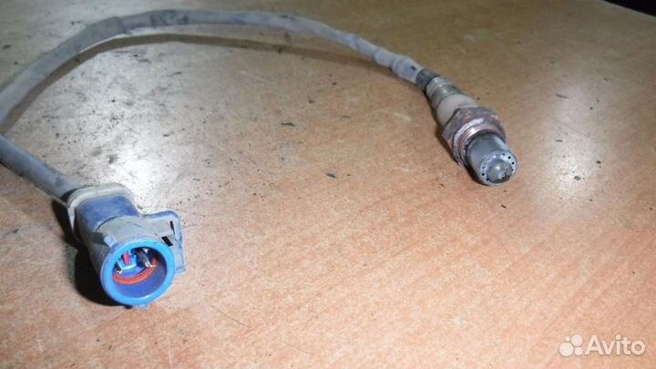 Датчик кислородный Focus 2 дорест