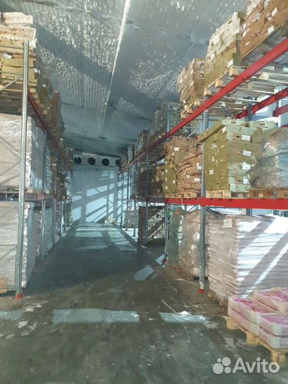 Мясо Курица, Свинина, Говядина, Баранина оптом