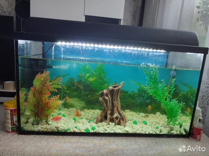 Аквариум 75 л