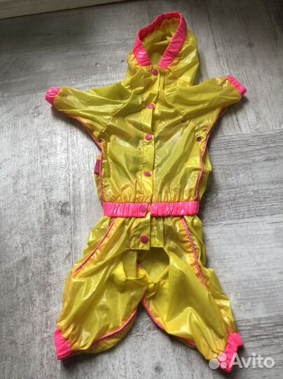 Одежда для собак