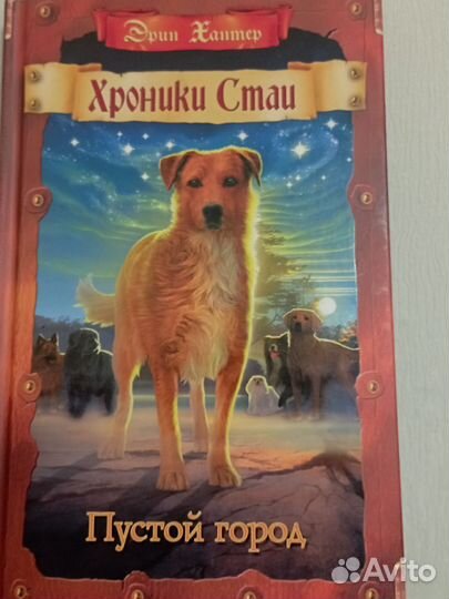 Книга хроники Стаи 