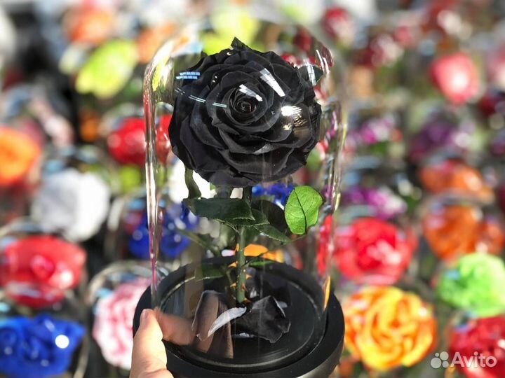 Роза в колбе Deluxe Черная