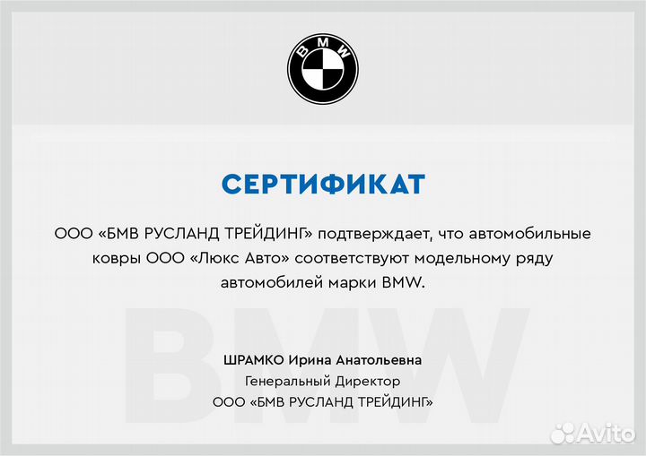 3D Коврики BMW X6 из Экокожи