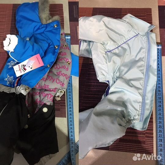 Комбинезон деми для собачки бу голубой