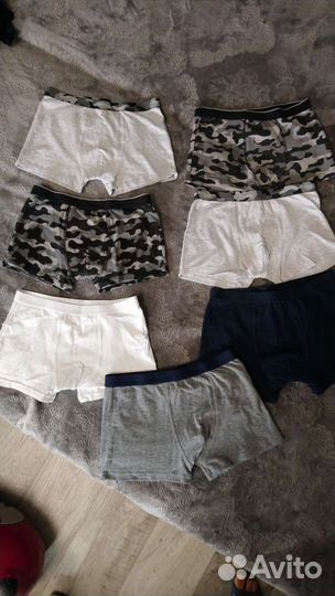 Боксеры, Купальные плавки