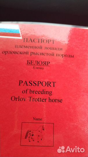 Орловский жеребец