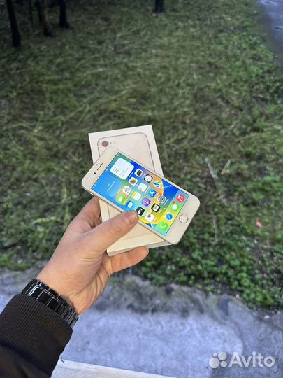 iPhone 8 256gb