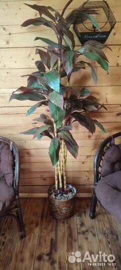 Искусственное дерево в горшке