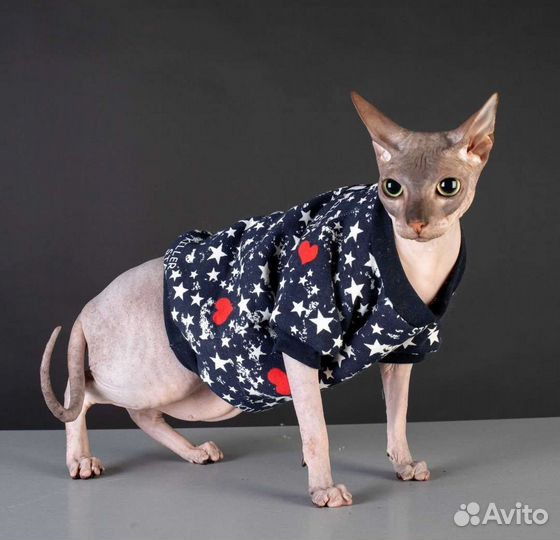 Худи для кота