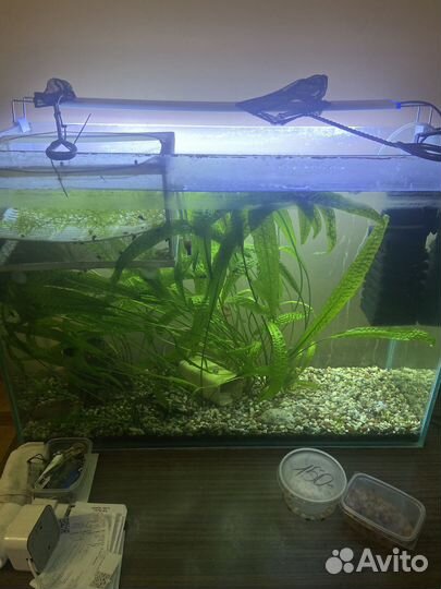 Аквариум