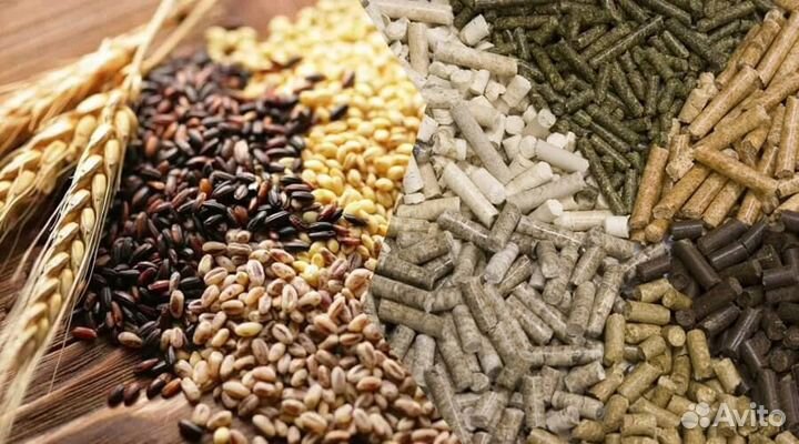 Корма для с/х животных