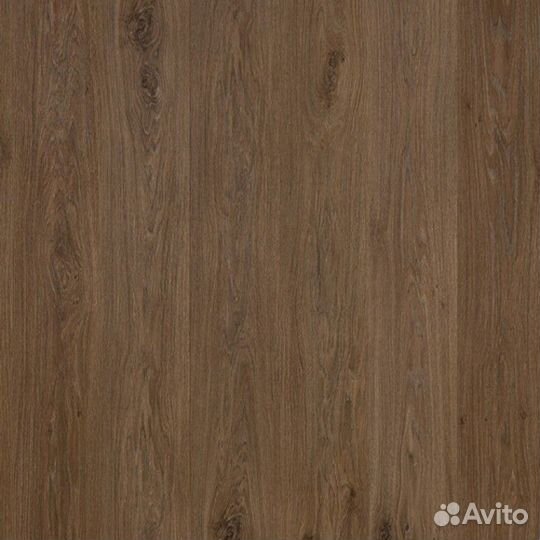 Odyssey 833 Дуб Родос 33 класс