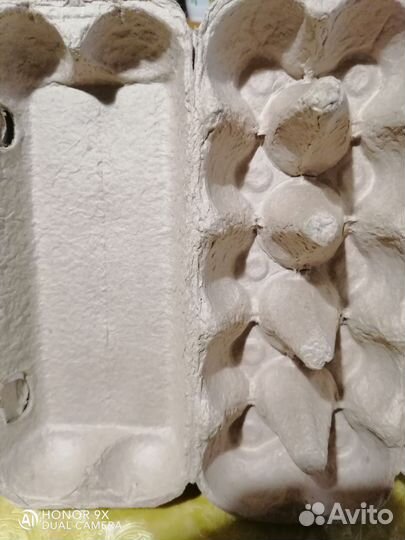 Ячейки для яиц