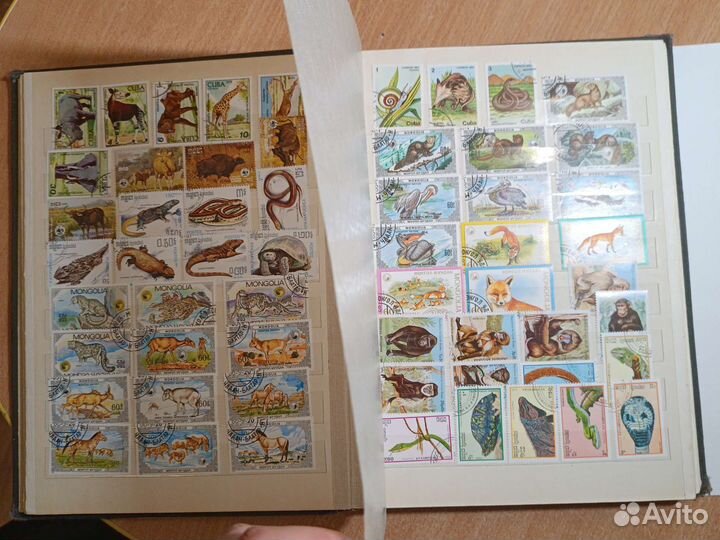 Кляссер марки фауна