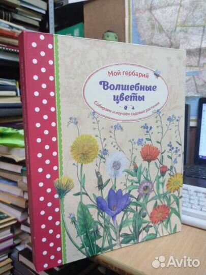 Про детство на кораблях. Вулканы. Научный комикс