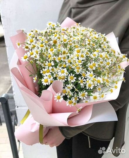 Ромашки Букет из ромашек доставка