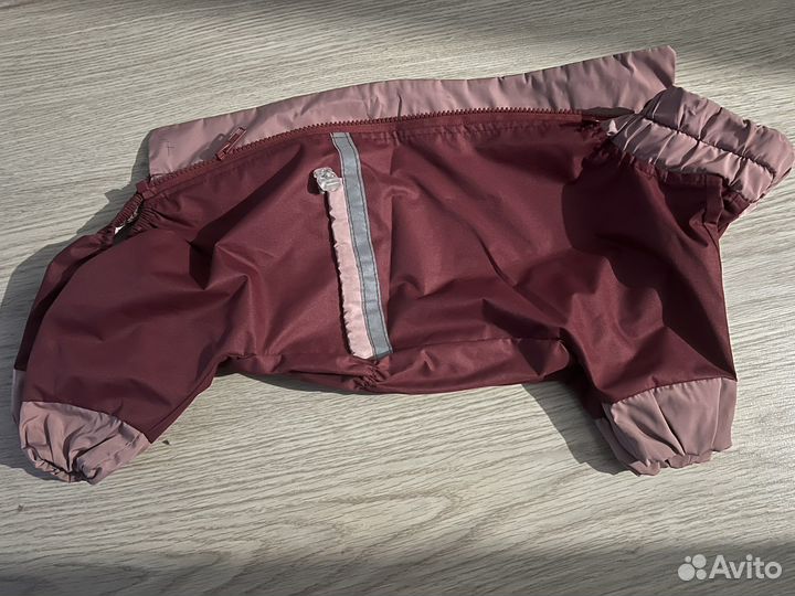 Дождевик для маленькой собаки