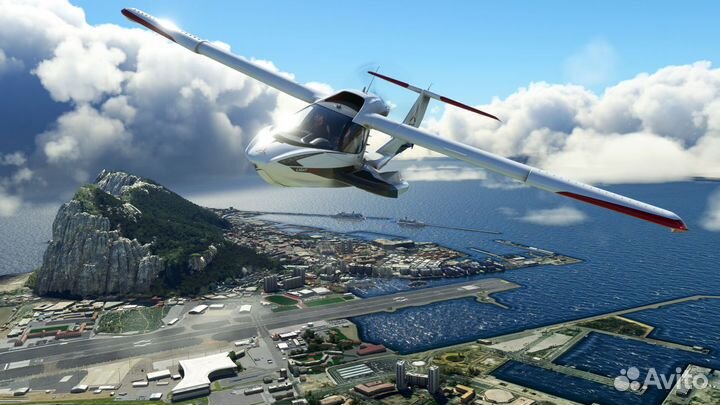 Microsoft Flight Simulator 2020 (Steam)