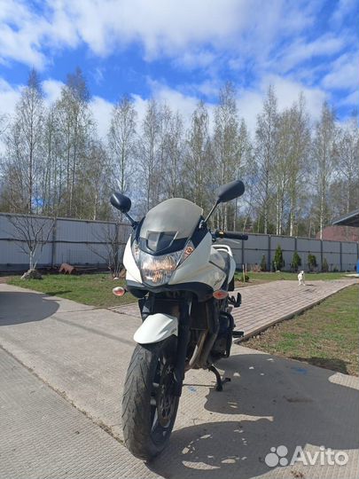Suzuki Bandit
