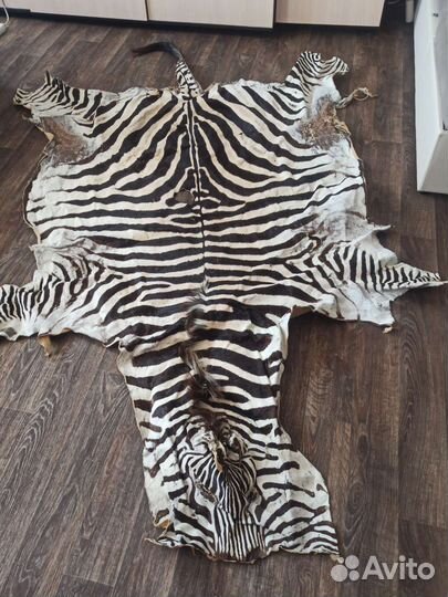 Шкура зебры