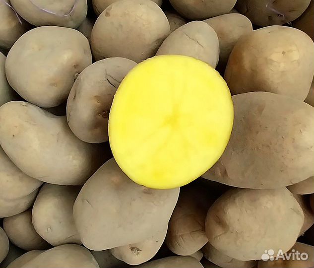 Купите картофель