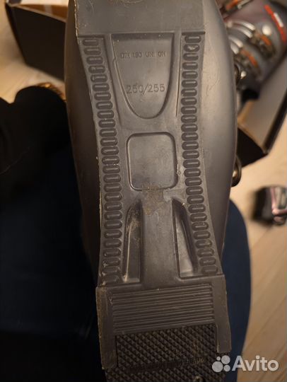 Горные лыжи fischer rx и ботинки head